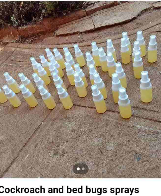 Cockroach & Bed Bug Killer Each