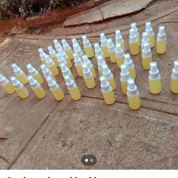 Cockroach & Bed Bug Killer Each